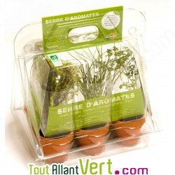 Mini serre Aromates de culture bio, plastique recycl� + terre et graines, 20 cm